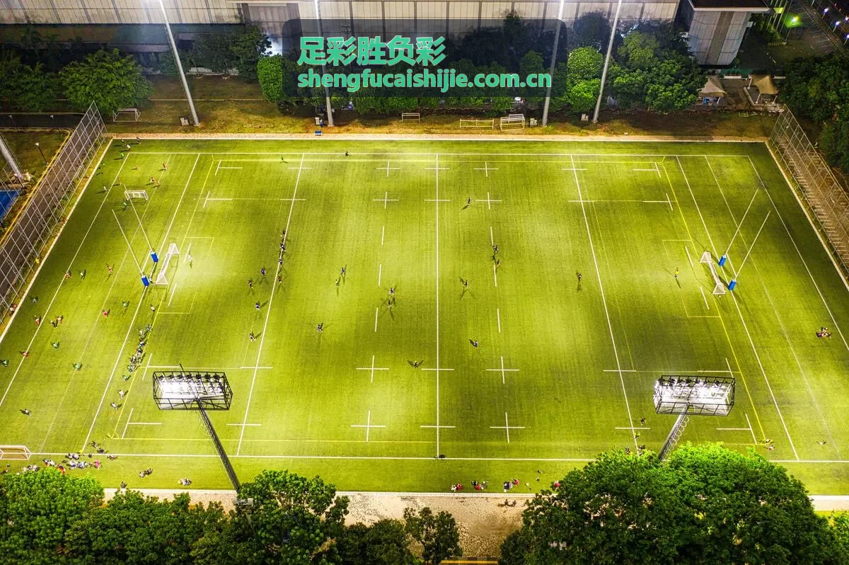 足彩胜负彩专家张明远